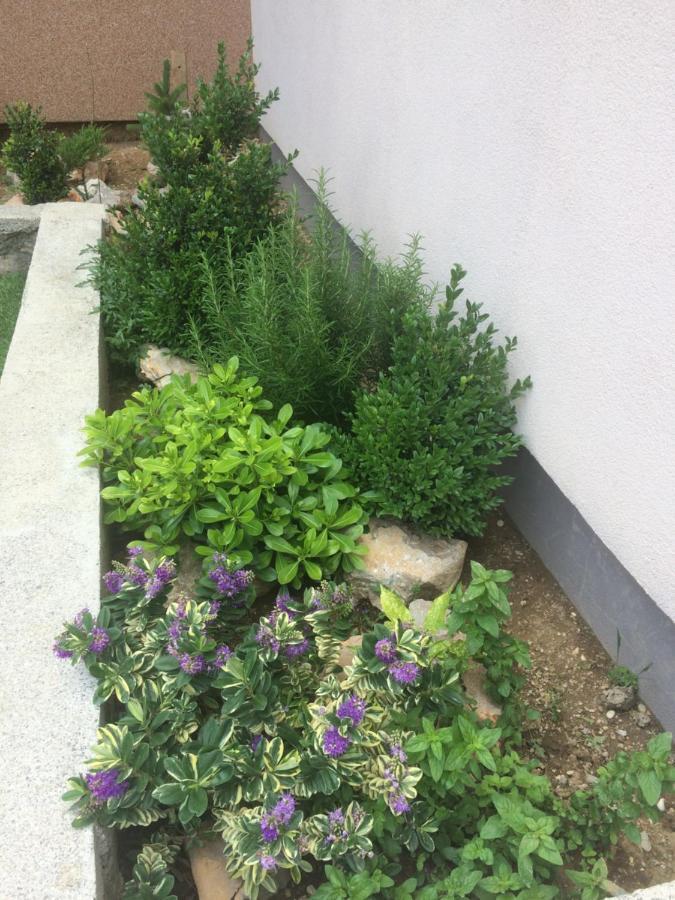 Apartment セサリサ エクステリア 写真